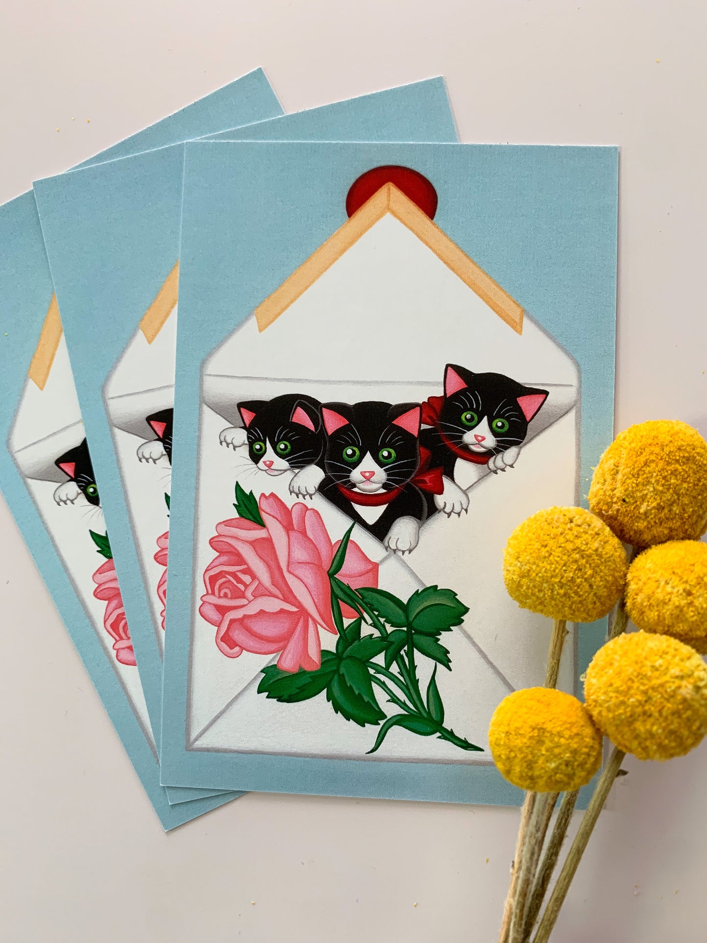 Envelope Postcard