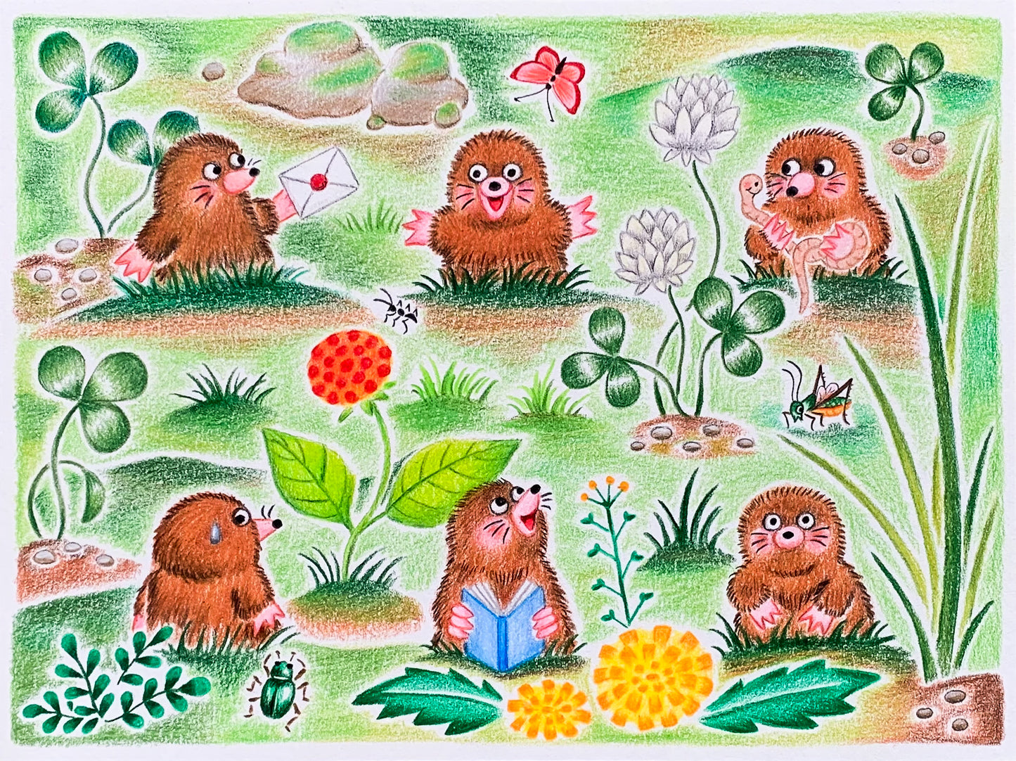 Original Color Pencil Moles 6”x8”