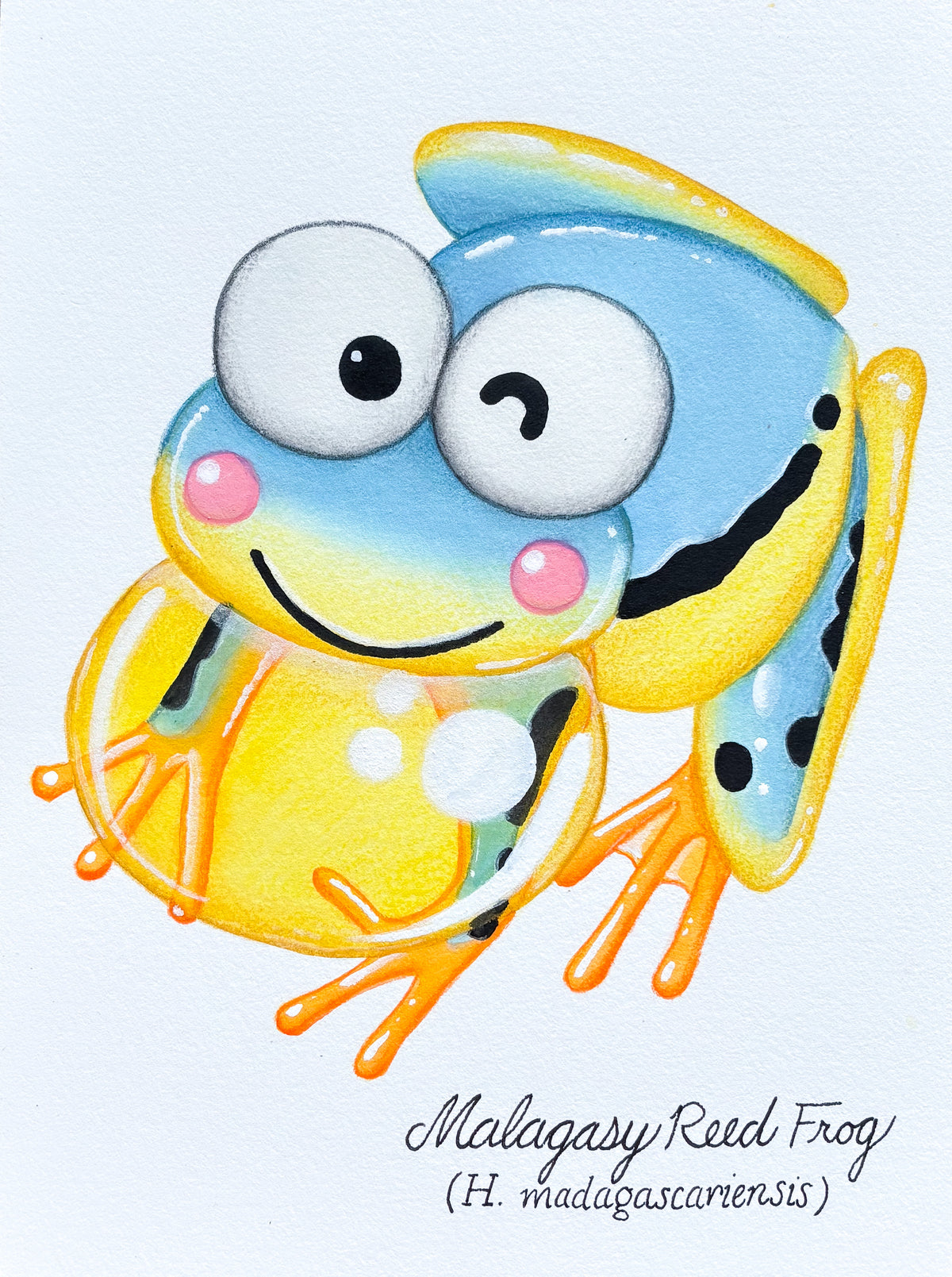 Original Mini Painting: Malagasy Reed Frog